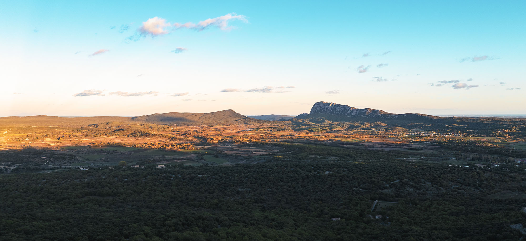 Vue du vignoble et du domaine